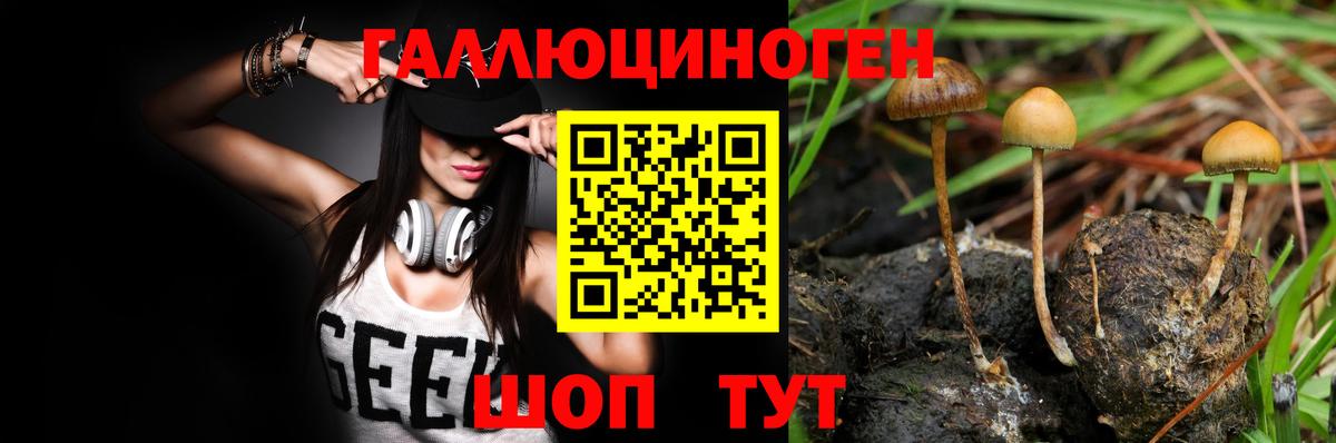 Псилоцибиновые грибы мицелий  Вход с VPN  Заречный 